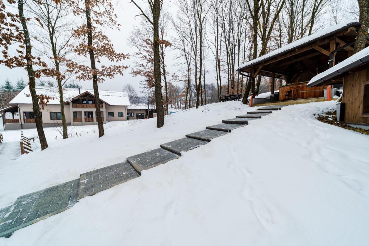 Transylvanian Relax House Lupeni  Exterior photo