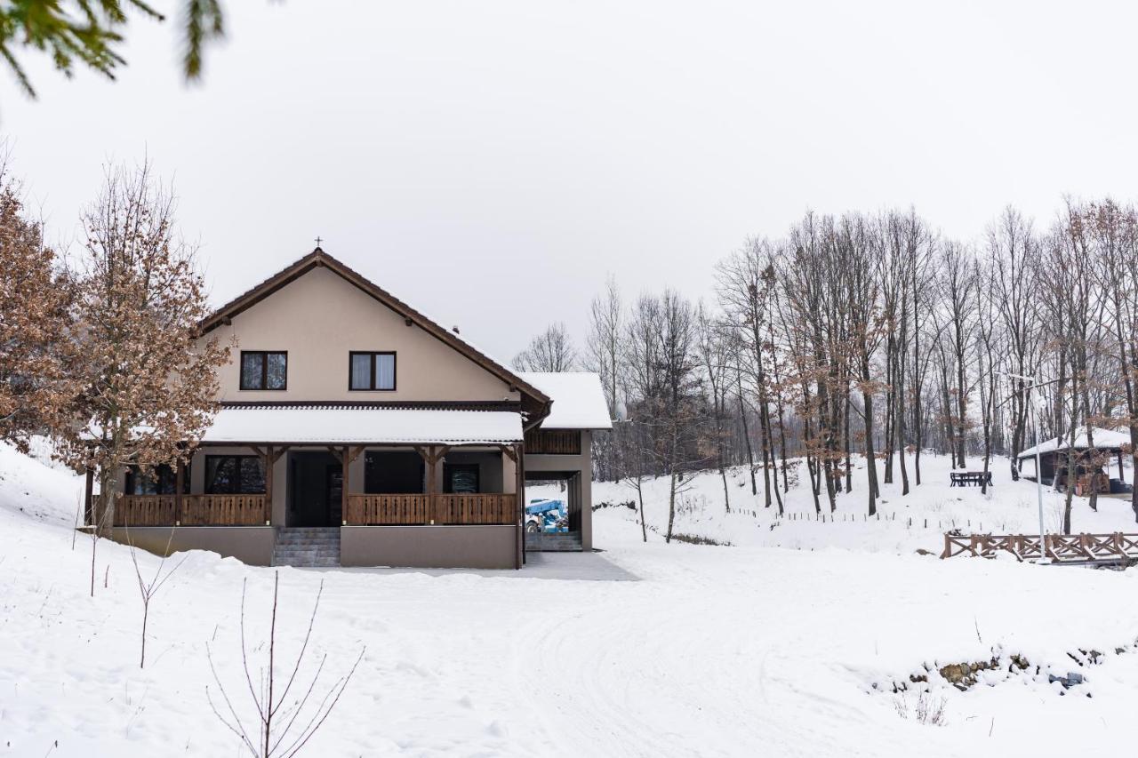 Transylvanian Relax House Lupeni  Exterior photo